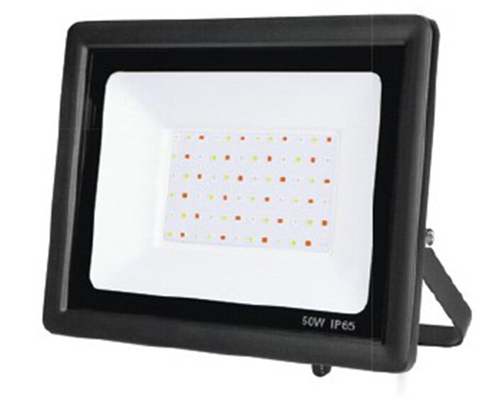 2001723 50W RGB LED PROJECTOR WITH REMOTE CONTROL IP65