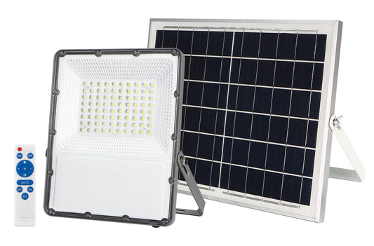 202615000 PROYECTOR LED 30W 6500K CON PANEL SOLAR 15W GSC
