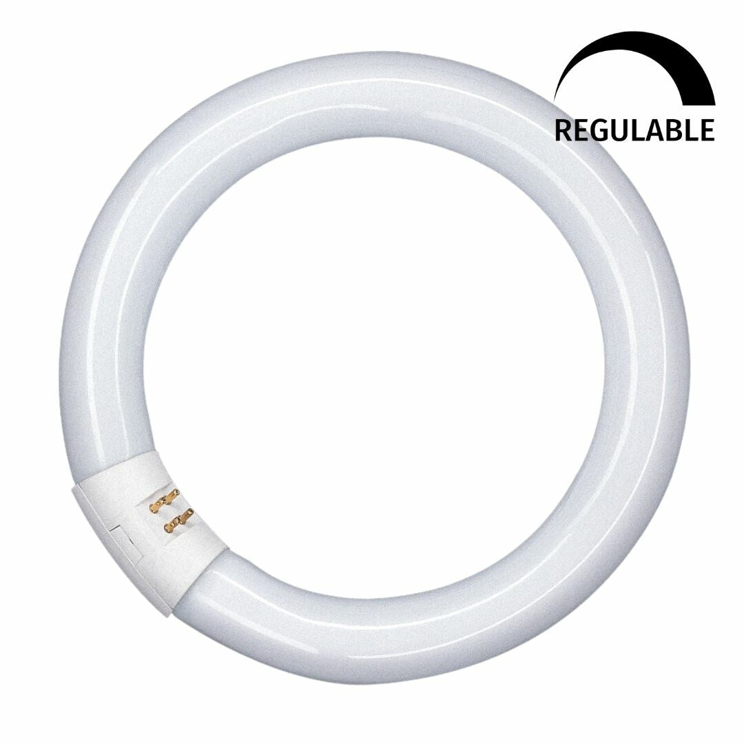 042706 TUBO CIRCULAR LED T9 G10Q 18,3W 6500K 300mm OSRAM