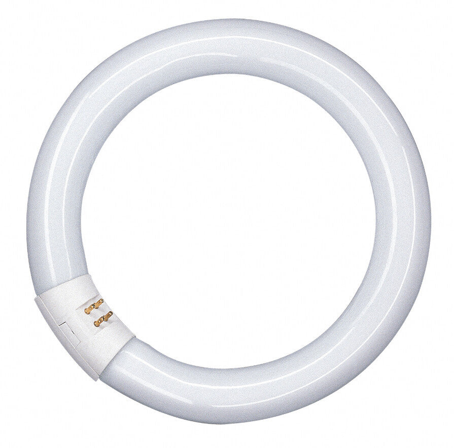 581105 FLUORESCENTE CIRCULAR 22W 6500K OSRAM | Suministros Figmar