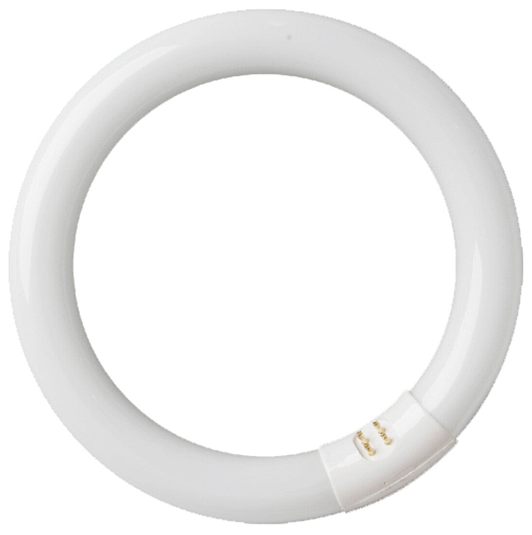 200800007 FLUORESCENTE CIRCULAR T9 6400K 22W GSC