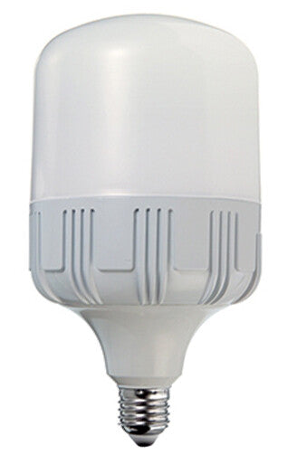 L3064HP5 LAMPARA LED ALTA POTENCIA 24W E27 6400K DURALAMP