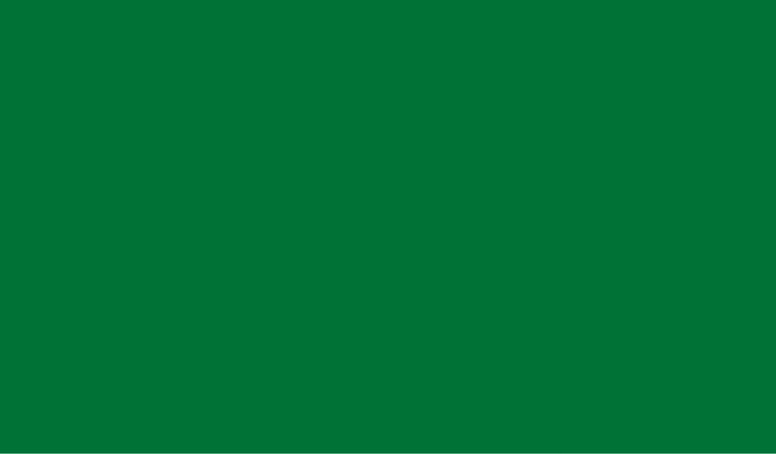 73013 1m GREEN GLOSS ADHESIVE VINYL 45cm DINTEX