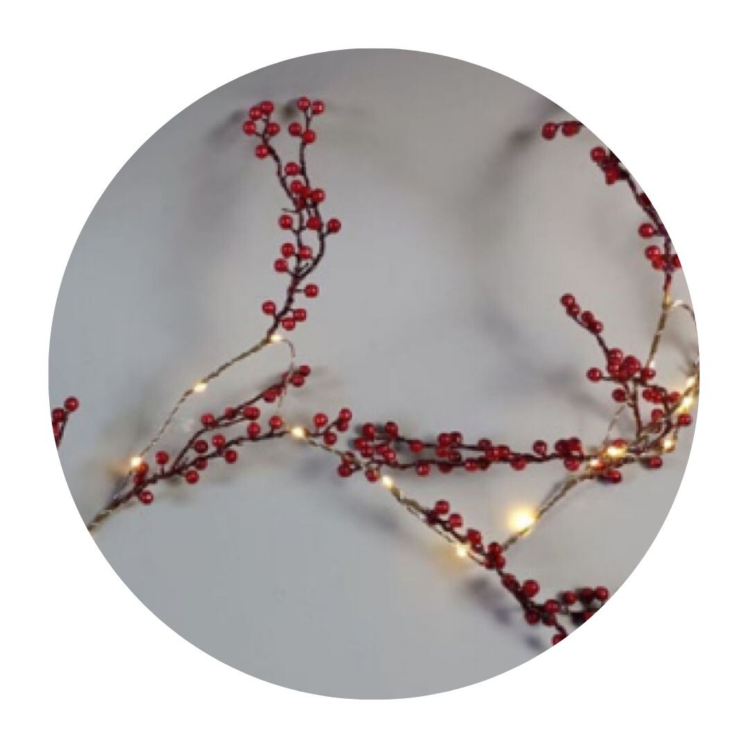 204690029 1,8m GUIRNALDA DE BAYAS ROJAS LED A PILA GSC