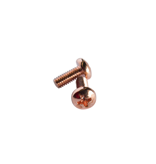 W204DR JUEGO 2 TORNILLOS M4X10 COBRE