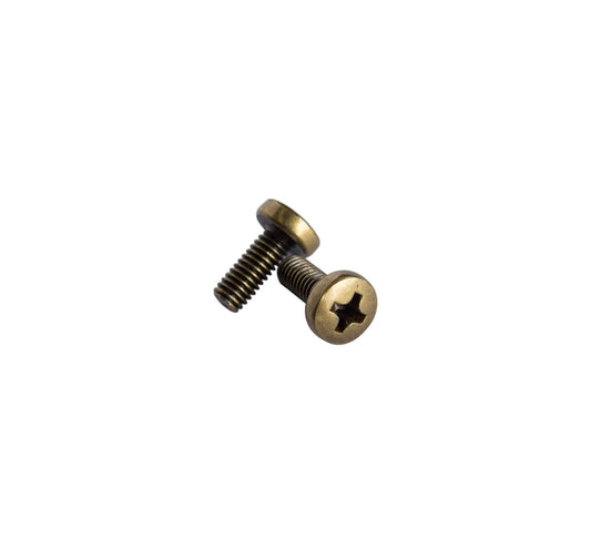 W204K JUEGO 2 TORNILLOS M4X10 CUERO