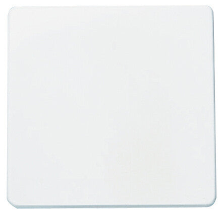 2201 BA INTERRUPTOR BLANCO ALPINO