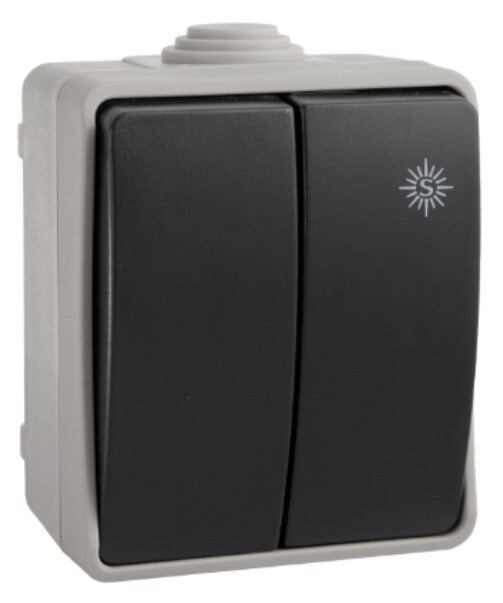 3313 DOBLE CONMUTADOR/INTERRUPTOR ESTANCO IP54 SOLERA