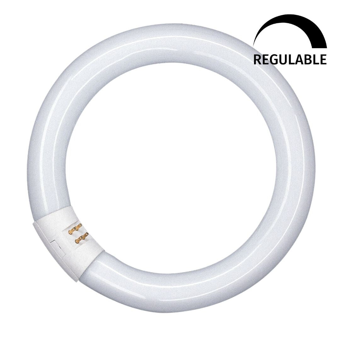 042706 TUBO CIRCULAR LED T9 G10Q 18,3W 6500K 300mm OSRAM