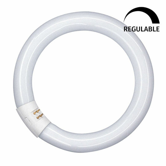 042706 LED-RINGRÖHRE T9 G10Q 18,3W 6500K 300mm OSRAM