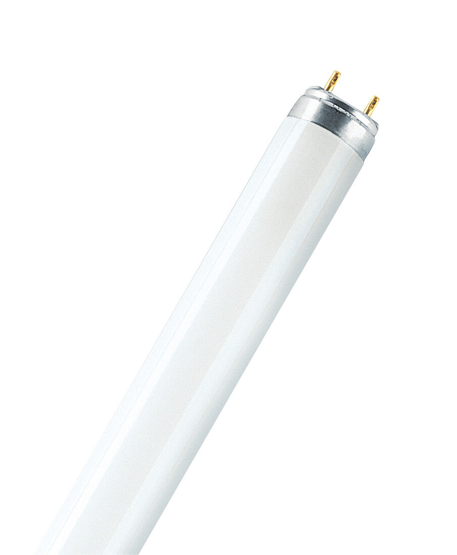 10193 TUBO FLUORESCENTE T5 28W 6500K CLAR