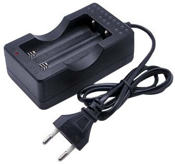 9000188 CARGADOR PILAS 2x18650 PARA 4880158