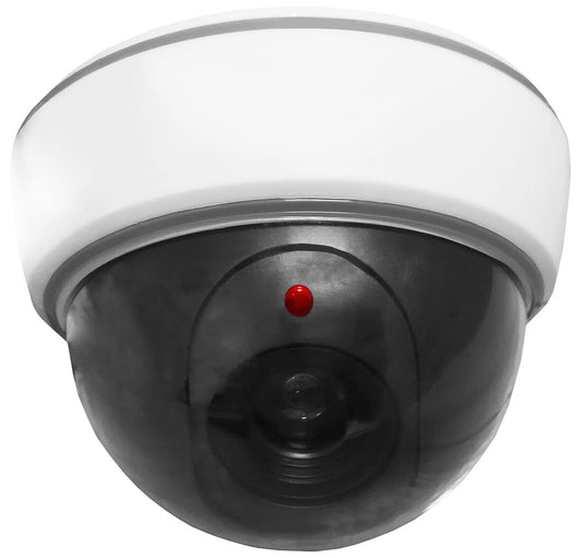61.153 CAMARA SIMULADA DE TECHO CON PILOTO LED DH