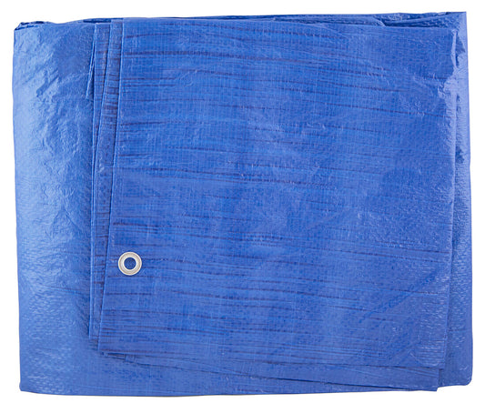 3300124 TOLDO DE POLIETILENO AZUL 2X3M