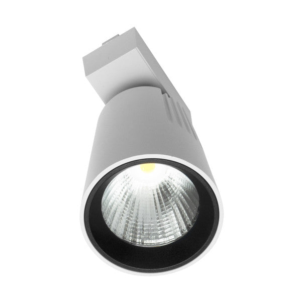 Foco Carril 40w 6000k Telma Blanco 3600lm 36º Orientable 330º Regx21x10,5 Cm