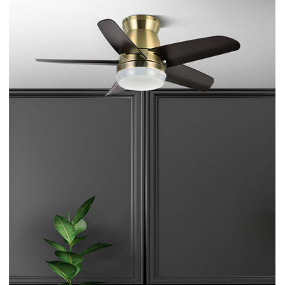 Ventilador Dc Neutron 24w 2400lm Cuero/negro 5aspas 91d 3000k,4500k,6000k, Remoto+temporizador+memoria